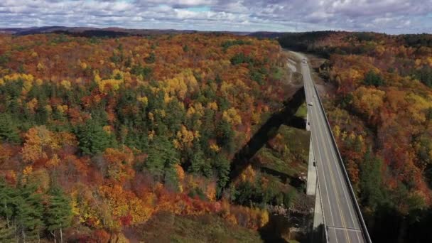 River Rapids Running Bridge Insane Fall Colors — Vídeos de Stock