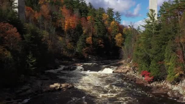 Rapids Fall Colored Forest Low Flight Approach — Vídeos de Stock