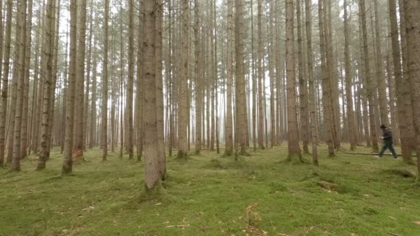 View Mossy Green Part Forest While Unrecognizable Man Walking Beautiful — Stockvideo