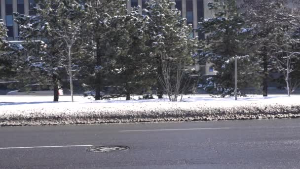 Cars Passing Both Sides Busy Street Middle You Can See — Video