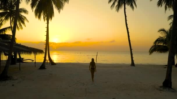Silhouet Van Een Vrouw Die Loopt Het Strand Met Palmbomen — Stockvideo