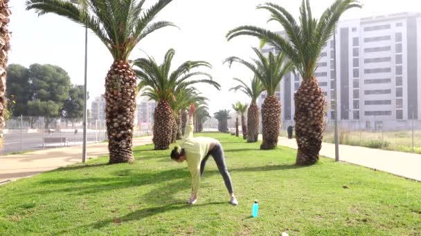 Woman Exercising Grass Avenue Surrounded Palm Trees — Vídeos de Stock