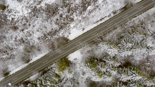 Úhlopříčka Směrované Zimní Silnice Přímo Shora Zimním Lese Autem Přímo — Stock video