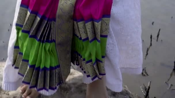 Una Bailarina Bharatnatyam Que Muestra Una Pose Clásica Bharatnatyam Naturaleza — Vídeo de stock