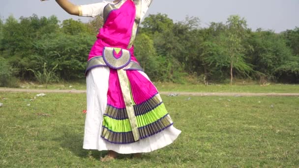 Bharatnatyam Dancer Displaying Classical Bharatnatyam Pose Nature Vadatalav Lake Pavagadh — Stock videók