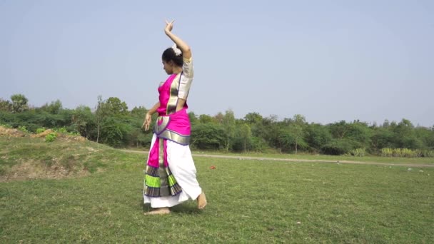 Bharatnatyam Dancer Displaying Classical Bharatnatyam Pose Nature Vadatalav Lake Pavagadh — Vídeo de Stock