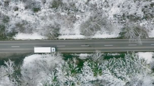 Tracking Lorry Which Driving Straight Wintry Road Framed Trees Conifer — Stockvideo