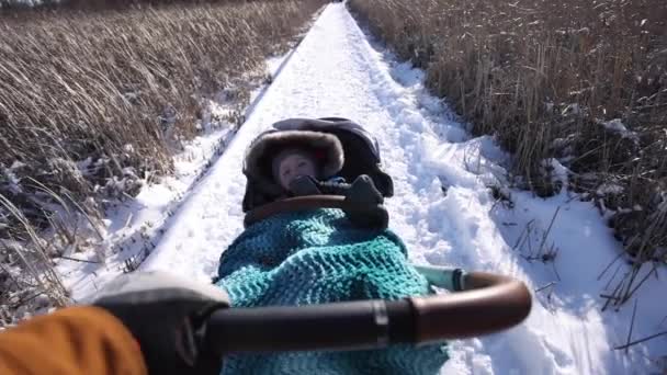 Pov Pulling Baby Stroller All Bundled Winter Path Slomo — Stockvideo