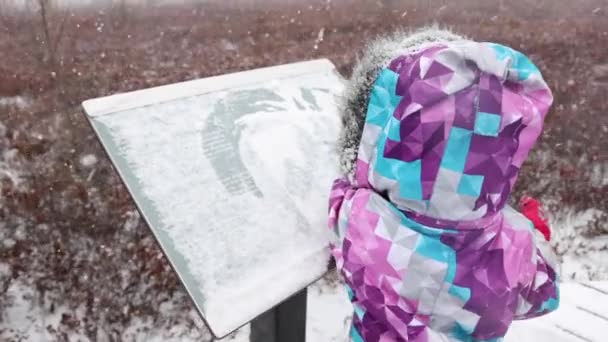 Little Girl Wipes Snow Trail Sign Snowstorm Slomo Super Cute — Stockvideo