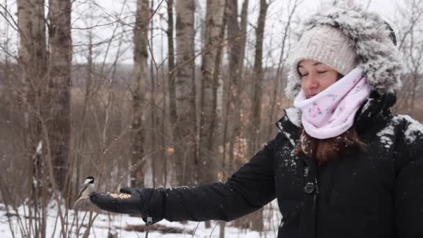 Birds Land Pretty Woman Hand Eat Seed Slomo Snow Fall — Stockvideo