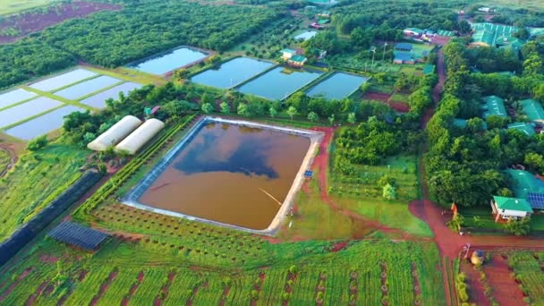 Agricultores Peixe Pescar Seus Peixes África Tiro Cânone Eos 200 — Vídeo de Stock