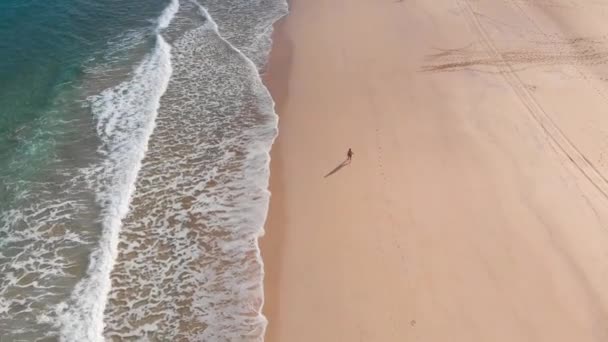 Jeden Člověk Kráčí Sám Zlaté Pláži Ostrově Porto Santo Portugalsko — Stock video