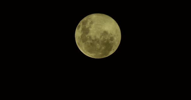 Полная Луна Темном Ночном Небе — стоковое видео