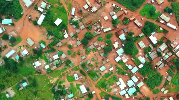 Top Shot African Village Drone — Stok video