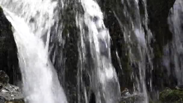 Close View Water Flowing Chute Philomne Waterfall Gaspesie Quebec Canada — Stock Video