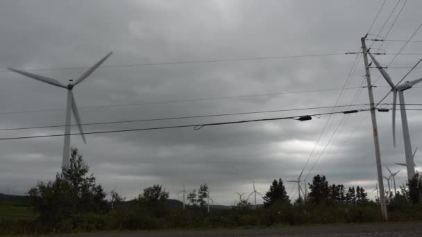 Ground Wind Turbines Working Symbiosis Bring Electricity Communities Gaspesie Quebec — Stockvideo