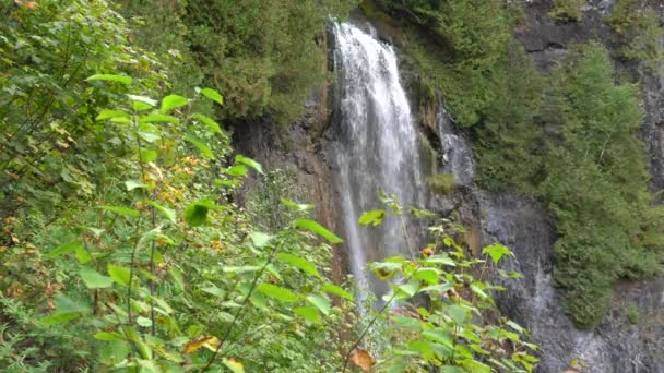 Chute Philomne Waterfall Flowing Trees Gaspesie Quebec Canada Summer — Wideo stockowe