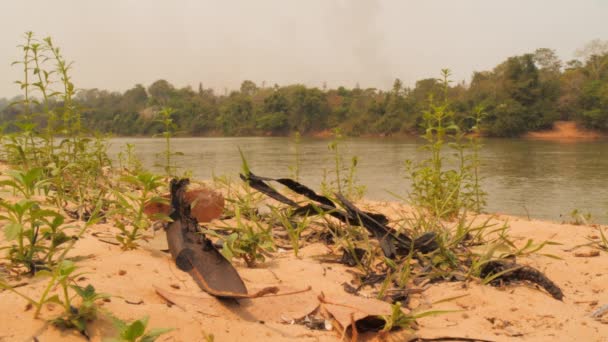 Ashes Falling Sky River Background Full Smoke Wildfire Landscape — Vídeos de Stock