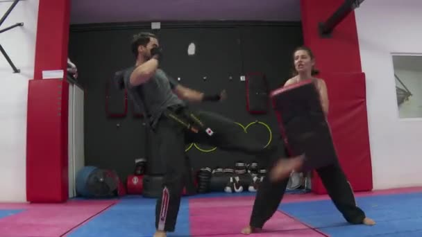 Strong Man Trains Boxing Kicks Training Device Woman Holding — ストック動画