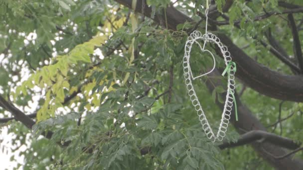 Static Shot Heart Shaped Wire Hanging Tree Rain Drops — Stockvideo
