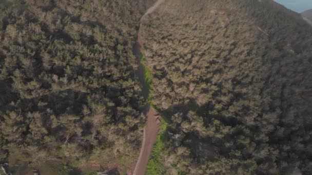 Camino Través Bosques Pico Facho Portugal Inclinación Aérea Hacia Adelante — Vídeos de Stock