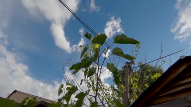 Timelapse Overcast Day Transitioning Blue Sky — Stockvideo