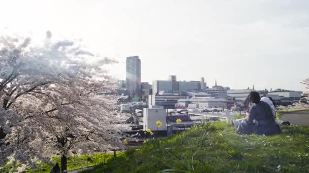 People Sitting Park Hill Ampitheatre Admiring Sheffield City Sky Line — Stock Video