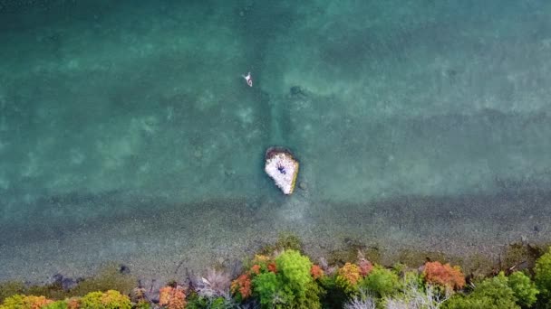 Woman Swimming Rock Lake Huron Michigan — 图库视频影像