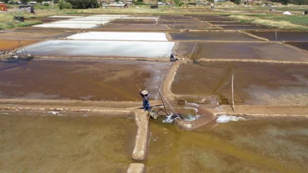 Two Sun Gatherers Working Salt Farm Sustainable Farmers Sea Water — Stock video