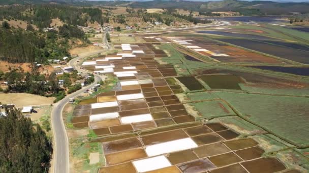 Sea Salt Salt Farm Chile Pichilemu Cahuil Yoncaven Valdivia Aerial — Video Stock