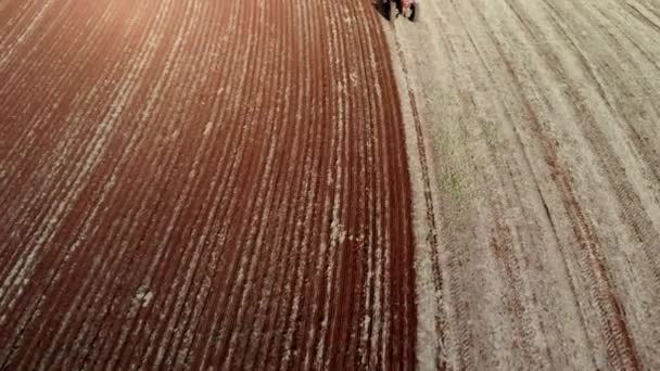Трактор Сеялкой Поле Посев Кукурузы Кукурузы Почве Пневматической Сеялкой Время — стоковое видео