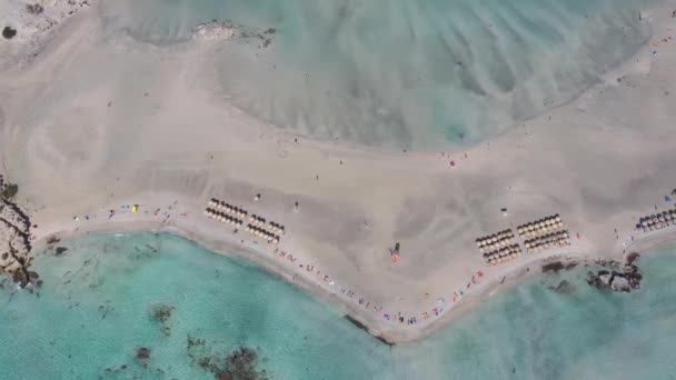 Aerial Bird View Paradise Beach Umbrellas Idyllic Vacation Concept — Stock video