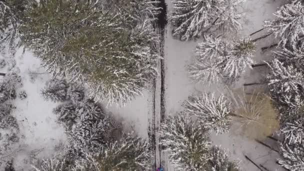 Ερχόμενοι Drone Shot Από Μια Υπέροχη Έγχρωμη Ομπρέλα Αντίθεση Χρώματος — Αρχείο Βίντεο