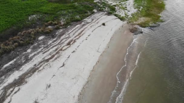 Areia Branca Praia Vegitação Ondas Lavagem Terra Tybee Ilha Georgia — Vídeo de Stock