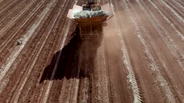 Tracteur Automatisé Plantant Canne Sucre Brésil — Video