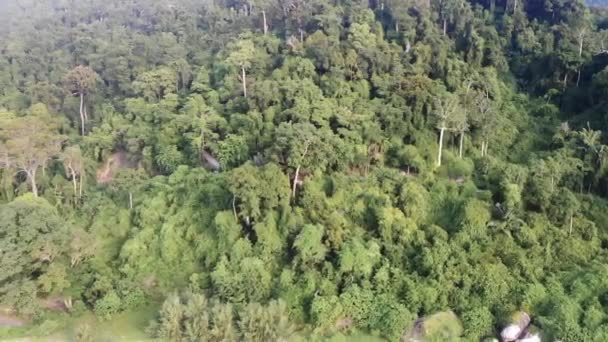 Drone Video Flying Outward Empty Tioman Tropical Island Full Trees — Stockvideo