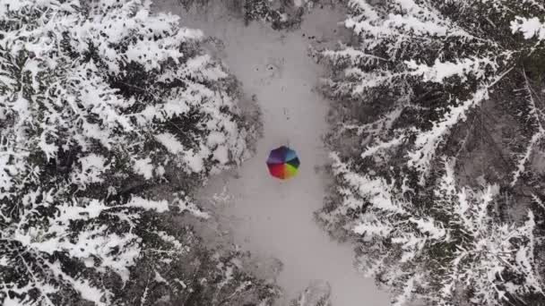 Drone Top Shot Colorful Circling Rainbow Umbrella White Winter Forest — Stok video