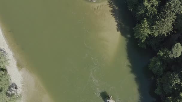 Aerial Tilt Shot Flowing Isar River Green Mossy Natural Islands — Vídeos de Stock