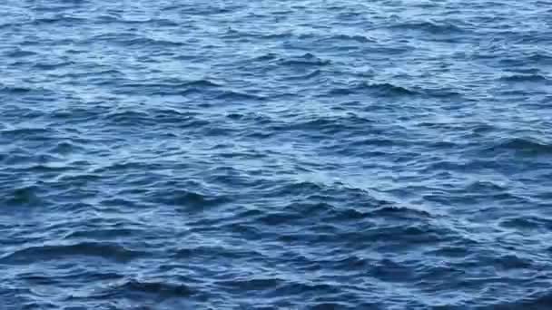Στατική Λήψη Γαλάζιων Κυμάτων Της Θάλασσας Ύφανση Ωκεανού — Αρχείο Βίντεο