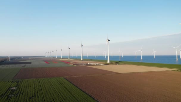 Onshore Offshore Wind Turbines Wind Farm Fields Dutch Tulips Flevoland — Stock videók