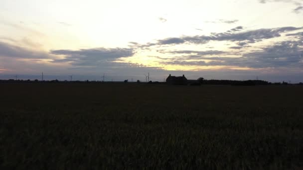 Abandonded House Middle Cornfield Sunset Low Approaching Flight — Stockvideo