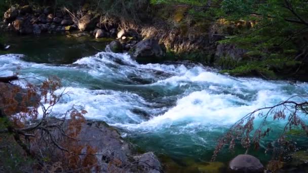 Landscapes Patagonian Province Negro Argentina Slow Motion — Vídeos de Stock