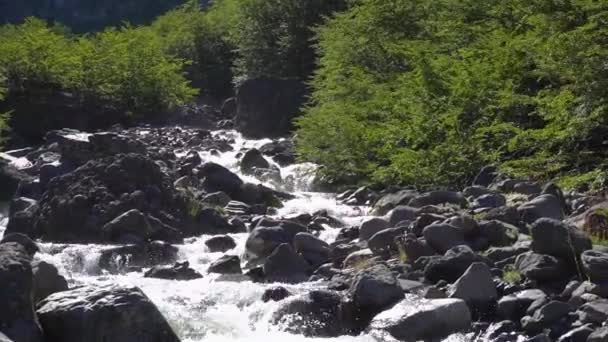 Landscapes Patagonian Province Negro Argentina — Stockvideo