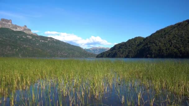 Landschaften Der Patagonischen Provinz Negro Argentinien — Stockvideo