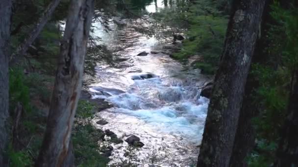 Landscapes Patagonian Province Negro Argentina — 图库视频影像