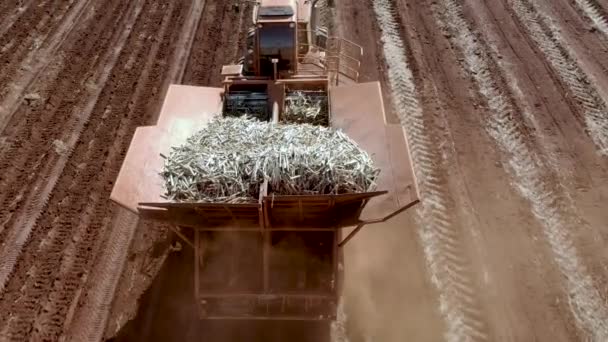 Tracteur Automatisé Plantant Canne Sucre Brésil — Video