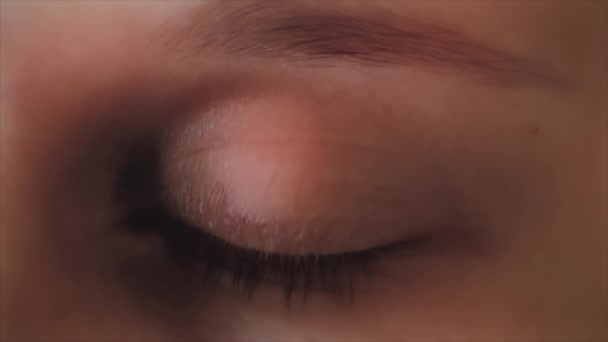 Shiba Inu Cryptocurrency Eyeball Logo Reveal Prores Shib Coin Digital — Vídeos de Stock