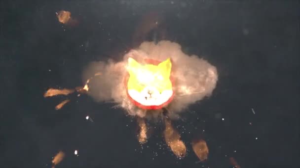 Shiba Inu Cryptocurrency Realistic Impact Explosion Logo Reveal Prores Shib — Stockvideo