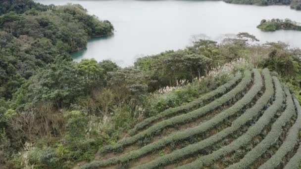 Feitsui Reservoir Emerald Gölü Manzarası — Stok video