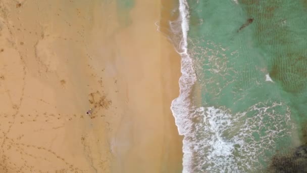Vista Aérea Olho Pássaro Água Azul Turquesa Praia Mulher Caminhando — Vídeo de Stock